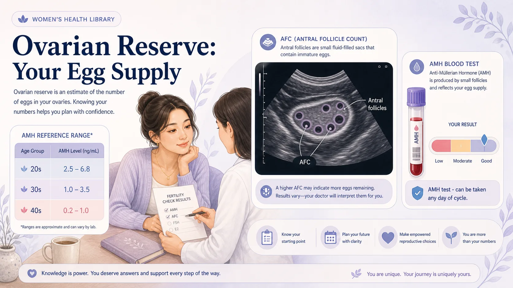 A calm, reassuring illustration about understanding ovarian reserve and AMH testing