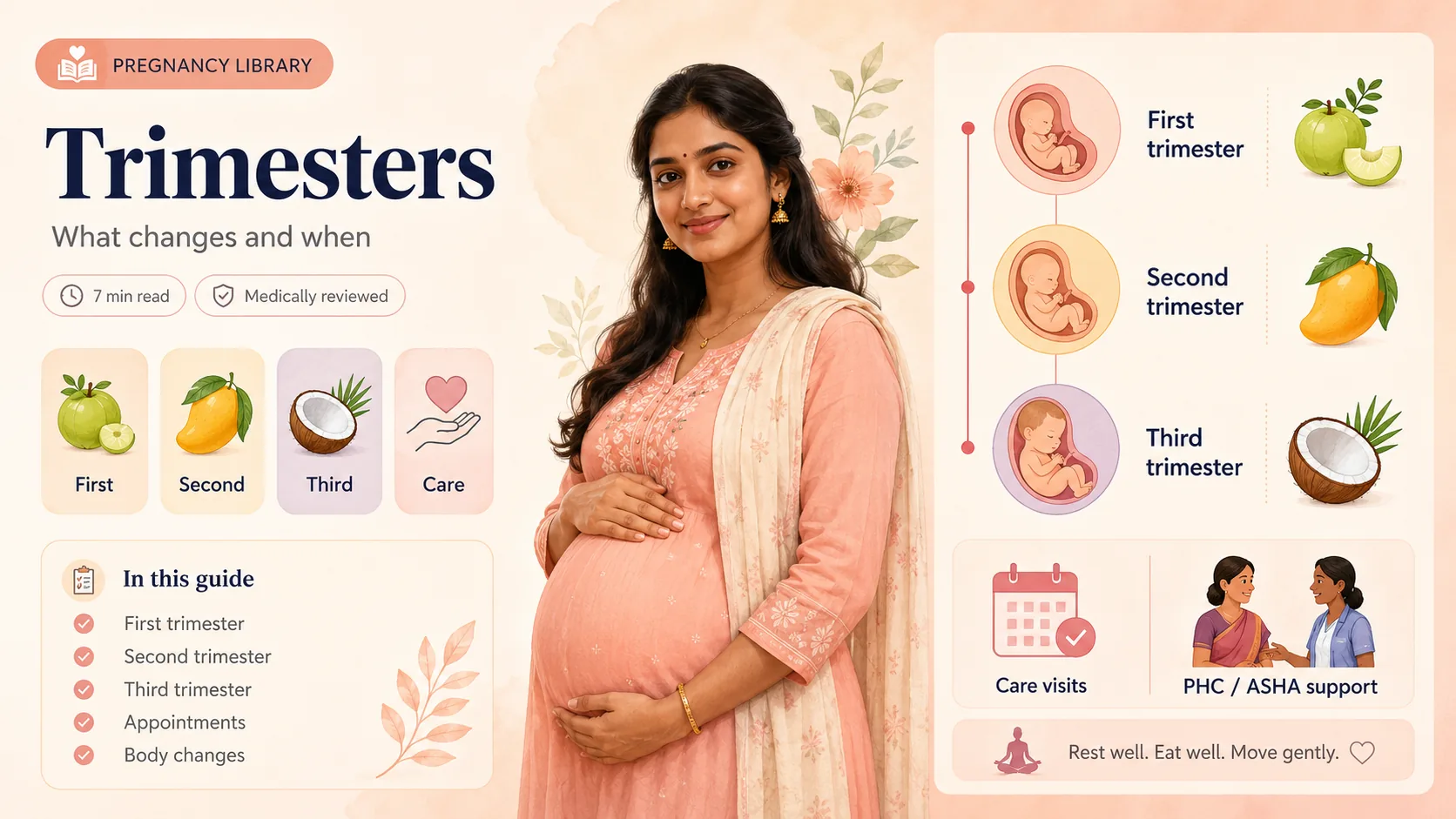 Pregnancy Trimesters: The First, Second & Third Explained