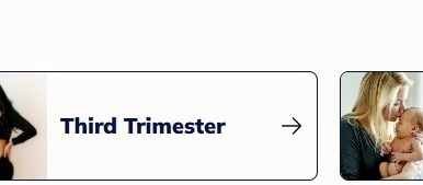 Third Trimester